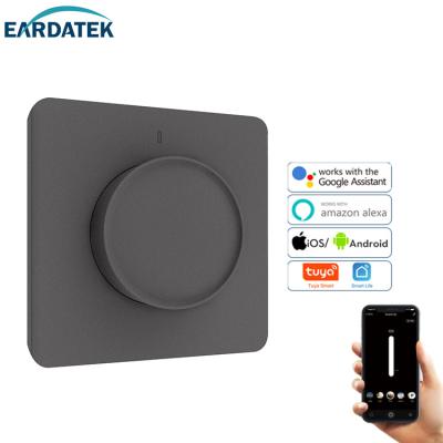 China Easy Installation Earda Factory Wi-Fi Wall Screen Light Touch Dimmer Switch for sale