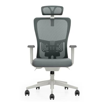 China Adjustable Modern Wheel Computer Office Vaseat Ergonomic Hotel Chair (Height) for sale