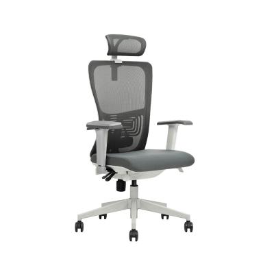 China Wholesale (Size) Customizable Ergonomic Office Chairs Adjustable Chair Manufacturers for sale