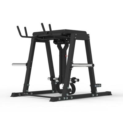 China Multifunction Gym Rack New Upgrade High Quality Gym Cross Fit Equipment Rack Reverse Hyper Leg Extension Machine for sale