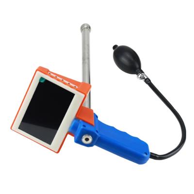 China Various Promotional Goods Using Hot Selling Digital Veterinary Insemination Instrument For Livestock Standard for sale