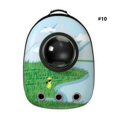 China Breathable Bubble Space Capsule Cat Pet Carrier Travel Backpack Stocked Bag For Outdoor Travel for sale