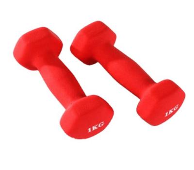 China Factory wholesale eco-friendly gym hex 1KG vinyl neoprene dumbbell /gym dumbbell set with rack for sale for sale