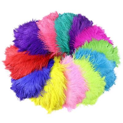 China High Quality Flatback Ostrich Feather 25-30cm DIY Wedding Accessories Home Clothing for sale