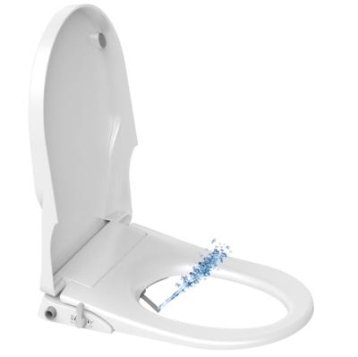 China BT003 D Shape Bidet Electronic Bidet Toilet Seat Cover For Europe Bidet Attachment Lady Wash Toilet Lid for sale