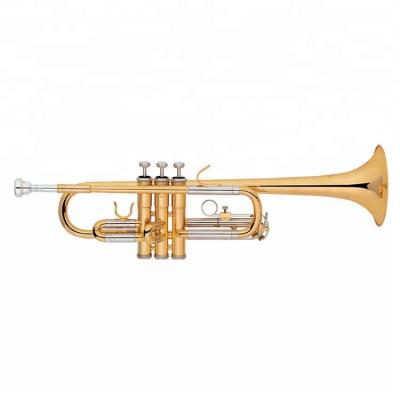 China Educational Professional Bb Key Gold Lacquer Trumpet With Cheap Price for sale