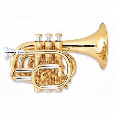 China Educational High Grade Professional Pocket Trumpet C Head Brass Instrument for sale