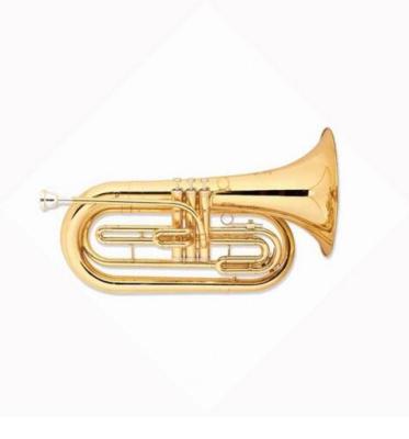 China Baritone Musical Instrument Educational Walking Marching Brass Instrument for sale