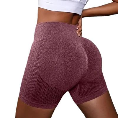 China Breathable Wholesale Competitive Price Seamless active Fitness Women Summer High Waist Butt Lift Running Sports Quick Dry Yoga Shorts for sale