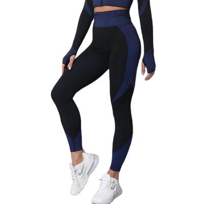 China High Waist Yoga Seamless Oversized Outdoor Running Pants Colors Block Tummy Control Hip Lifting Fitness Women Quick Dry Leggings for sale