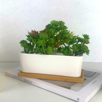 China Amazon Modern Hot Selling Succulent Pot With Wooden Tray Flower Pot Ceramic Mini Small Succulent Planter for sale