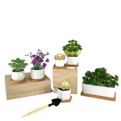 China Amazon Modern Hot Sale Small Ceramic Succulent Planter With Wood Tray Mini Ceramic Flower Pot For Succulents for sale