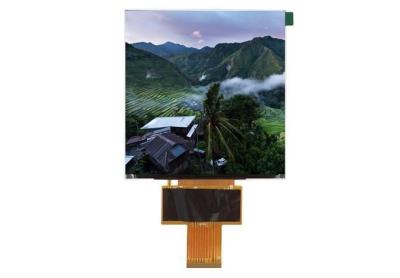 China                    5.0inch 600X600 IPS Highlight Square LCD Display with Mipi Interface              for sale