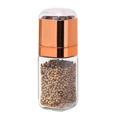 China Best Quality Spice Salt Spice Grind Jar Glass Cover Sustainable Plastic Herb Pepper Grinder Jar Glass Spice Grind Jar for sale