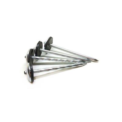 China Factory Price Cheapest Umbrella Head Cap Roofing Nails Roofing Nails for sale