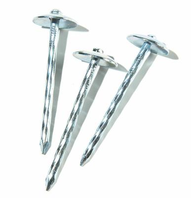 China Cap Galvanized Corrugated Nails Twisted Leg Umbrella Head Covering Nails Factory Price for sale