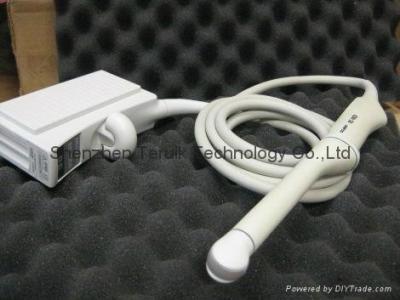 China Acuson EC10C5 Endovaginal Curved Array Ultrasound Probe 5.0-10.0 MHz for sale