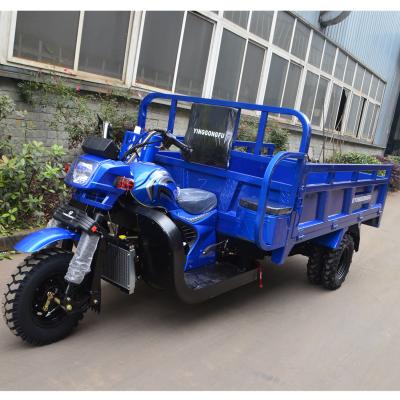 China Heavy Loading Gas Powered Cargo Tricycle / 250cc Five Wheel Cargo 300cc Double Wheel Farm Tricycle / Three Wheel Cargo Motorcycle for sale