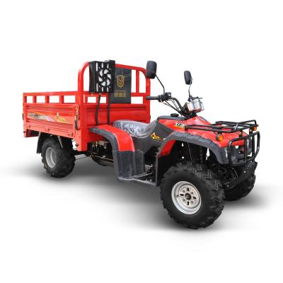 China 150cc/200cc/250cc ATV Cargo Tricycle /ATV Cargo Motorcycle /Four Wheels Off Road ATV Motor Tricycle for sale