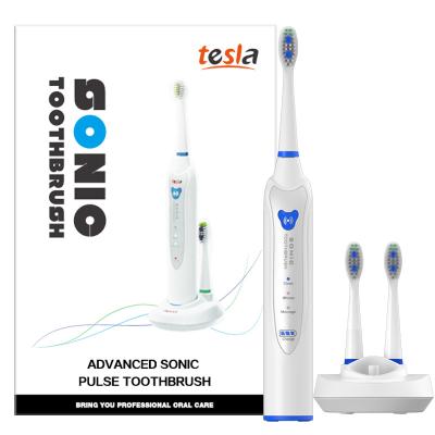 China Soft 2022 Professional Portable Electronic Automatic Toothbrush OEM IPX7 Sonic Heads Electric Tooth Brush ABS USB White Rohs for sale