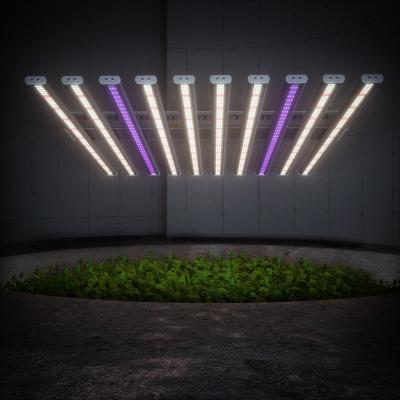 China Seed Starting High Power Industrial Wireless Control Dimmable Full Spectrum Horticulture Greenhouse Led To Raise The Bar for sale