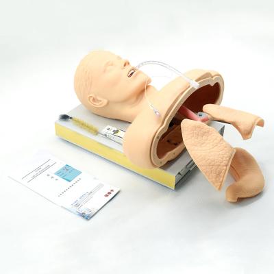 China Endotracheal Intubation Simulator School Human Anatomical Medical Model for sale