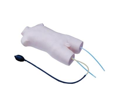 China Medical School Teaching XC-462 Child Femoral Vein and Femoral Artery Puncture Training Model for sale