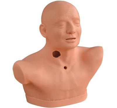 China Medical School Teaching XC-454A Advanced Adult Tracheostomy Care Model for sale