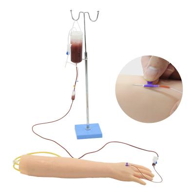 China Puncture / Injection China Manufacture Human Intravenous Venipuncture Arm Training Model for sale