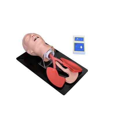 China XC-407A advanced human trachea intubation model XC-407A for sale