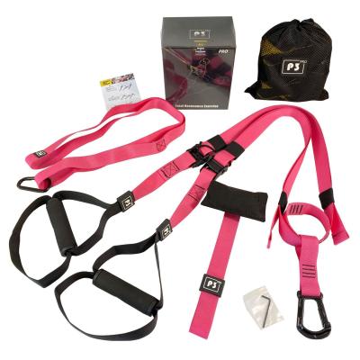 China Universal Fitness P3 Series Gym Workout Hanging Belt Hanging Belt Resistance Bands Exercise Stretching Elastic Straps for sale