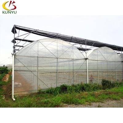 China GROWING Tomato Agricultural Single-span Single-span Film Cover PE Material Greenhouses for sale