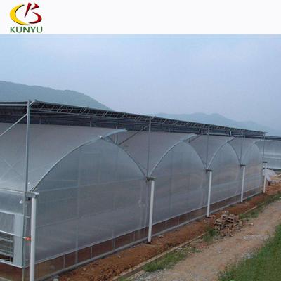 China Multi-span African Glass Film Greenhouse Sawtooth Used Type Price for sale