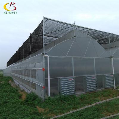 China Plastic Glass Greenhouse Panels Greenhouse Glass Sawtooth Type for sale