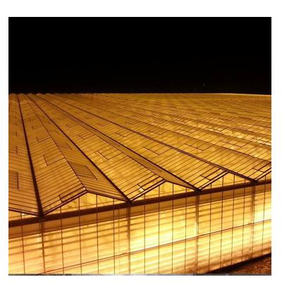 China PE Galvanized Steel Truss Greenhouse Agriculture Prices Manufacturer for sale