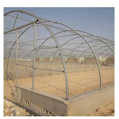 China PE Customize Arch Galvanized Pipe Tunnel Greenhouse For Sale for sale