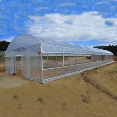 China PE tunnel greenhouse project for flower for sale