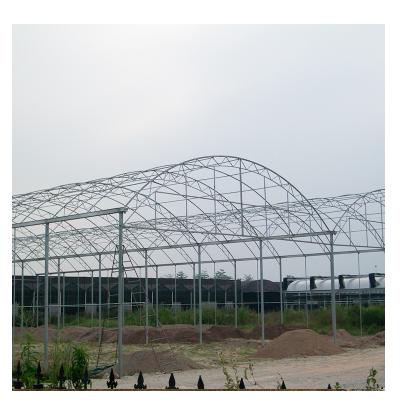 China Foshan vegetable kunyu flower fruits durable UV treated plastic sheet covering tunnel PE film agricultural greenhouse for sale