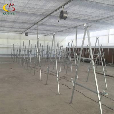 China A Frame Hydroponic Growing Systems Nft PVC Channel Hydroponic Systems For Agriculture Greenhouse Garden Greenhouse for sale