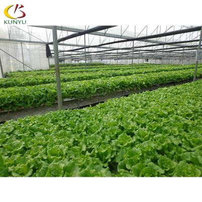 China Hydroponic manufacturers wholesale hydroponic nft pvc channels for hydroponic systems with pump garden greenhouse used for sale