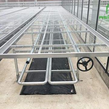 China Stable Structure Easily Assembled Durable Greenhouse Benches Tables Rolling Equipment Seeding Nursery Bed for sale