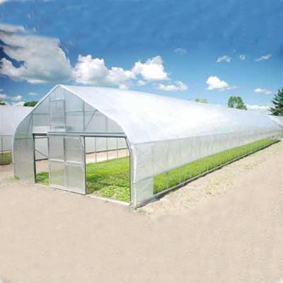 China Easily Assembled Agricultural Greenhouse Cover Ginegar Plastic Sheet For Sale for sale