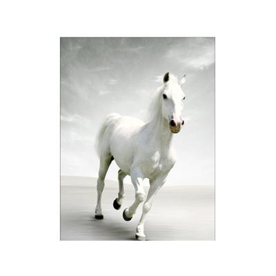 China China Hot Sale 8 Horses 3D Lenticular Pictures For For Gift Home Decoration 30*40 Printing 3d Poster for sale