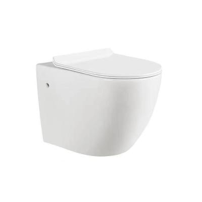 China Dual-Flush Chinese supplier bathroom ceramic European 180mm wall-mounted toilet for sale