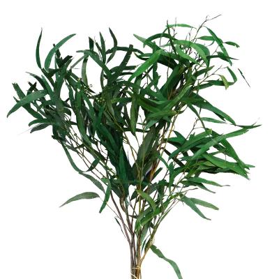 China Hot Selling Natural Dry Leaf Bunches Plant Durable Bunches Price Cheap Home Decor Millet Leaves for sale