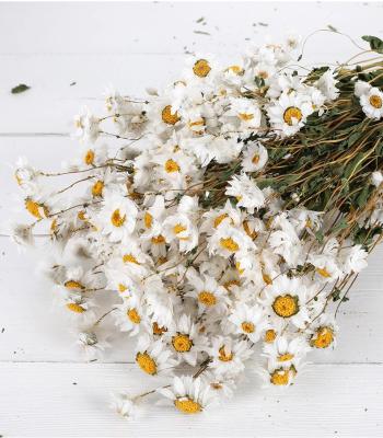 China Natural Flower Amazon Top Sales Daisy Dried Flowers Everlasting Rodanthe Bouquet For Wedding&Gifts for sale