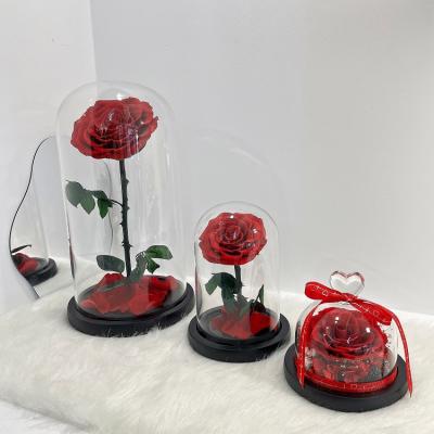 China Romantic Hot Sale Eternal Preserved Roses in Glass Prince Series One Dome Rose for Decoration for sale