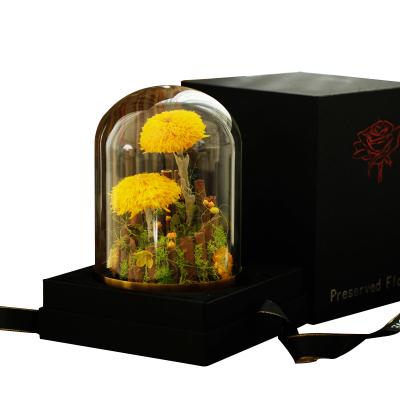 China Wholesale Real Flower Eternal Preserved Natural Sunflower In Glass Dome Best Gift For Valentine's Day Mother's Day for sale