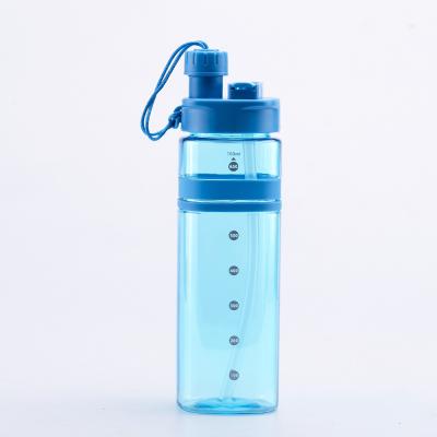 China Home application two size bpa free plastic sport bottle for adult for sale