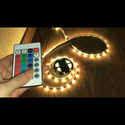 China 2021 luxury hot sale 30 5050SMD per meter IP20 IP65 waterproof RGB led strip lights led light Christmas picture frame background light for sale